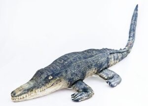Gaby polštář Krokodýl