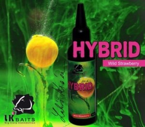 Hybrid Activ Wild Strawberry